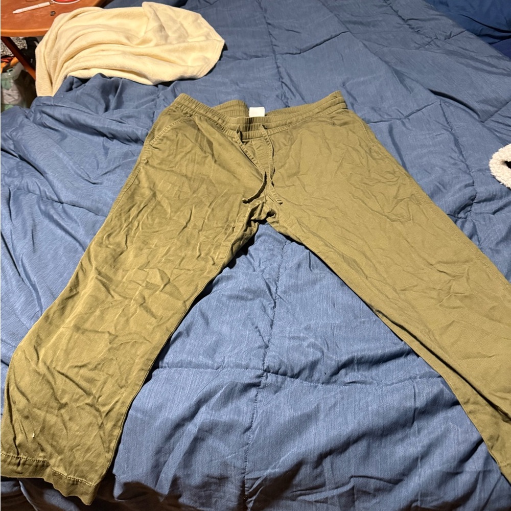 Size large Gap pants.